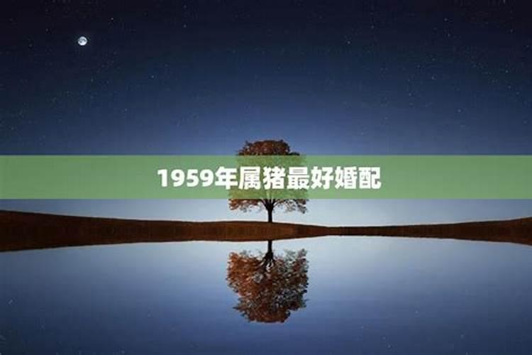 1959年属猪的最佳婚配