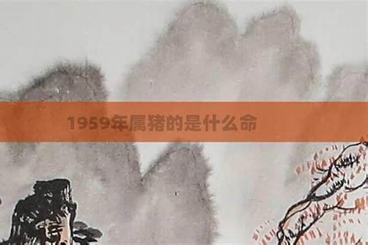 1959年属猪的是什么土命