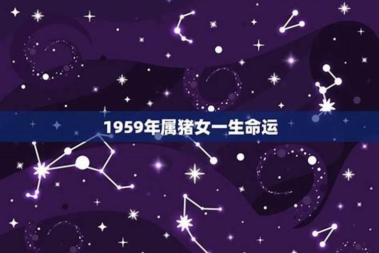 1959年属猪的女人是什么命