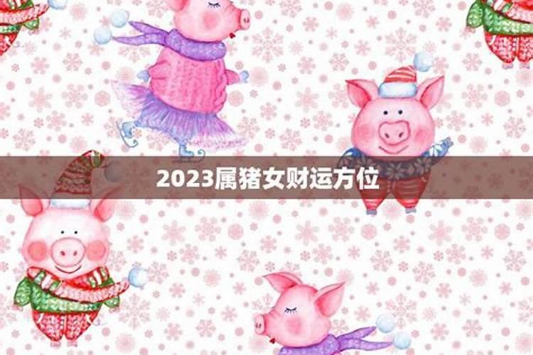 2023属猪的运势和财运如何呢