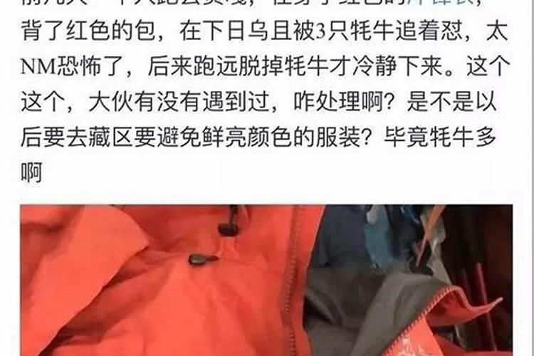 梦见自己穿红色的衣服被牛追