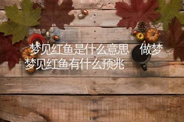 梦见红鱼怎么回事儿