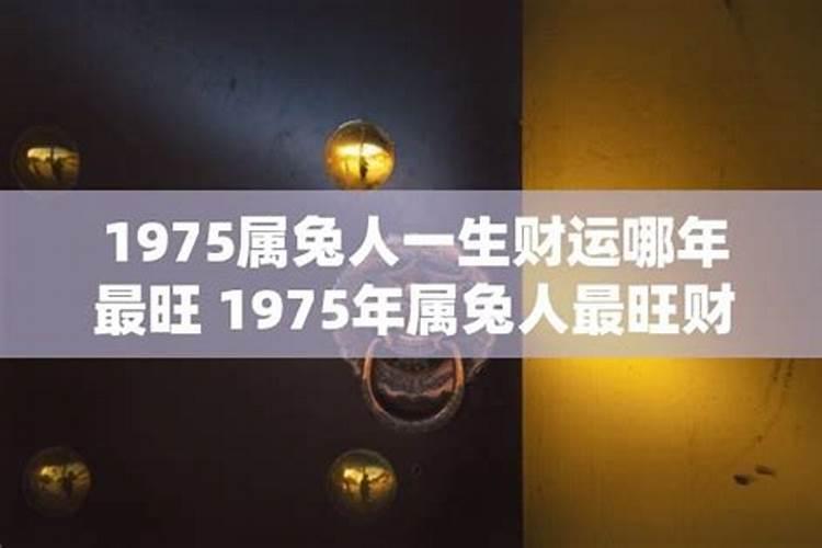 1975属兔人一生的运程