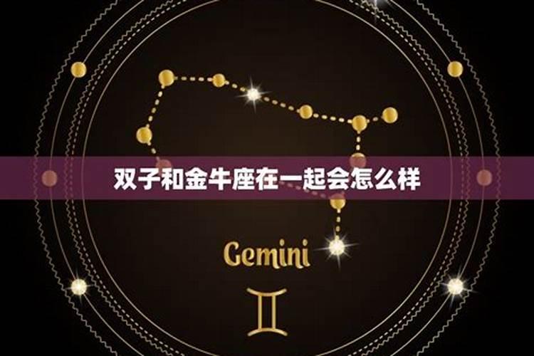 双子座和金牛座谈恋爱合适不