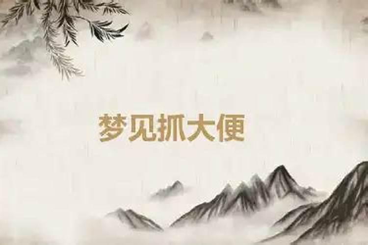 做梦到手去抓屎