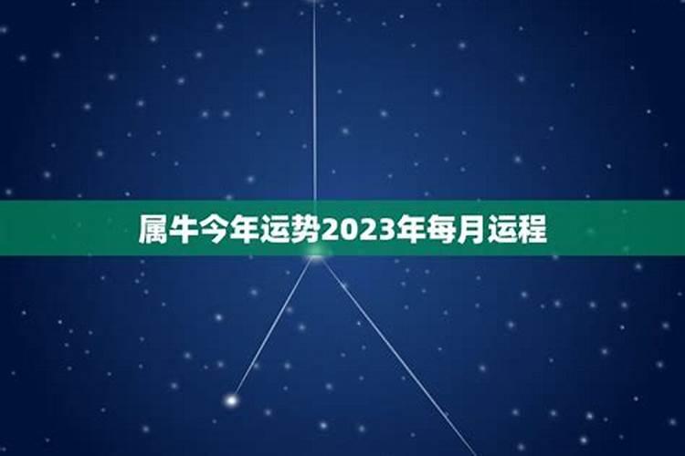 2023牛年运势每月运势如何