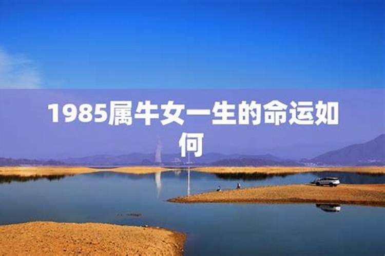 1985属牛女一生的命运是什么