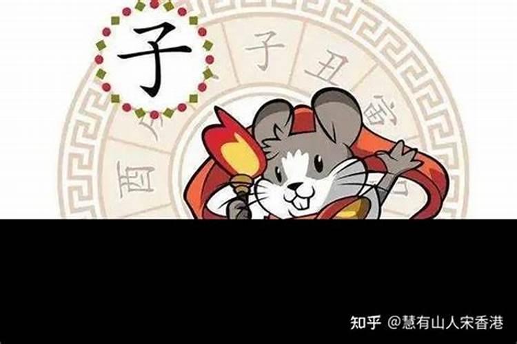 子鼠2023年运势解析