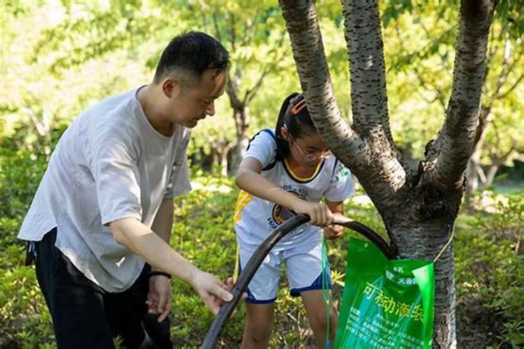 立春后什么时候给树浇水