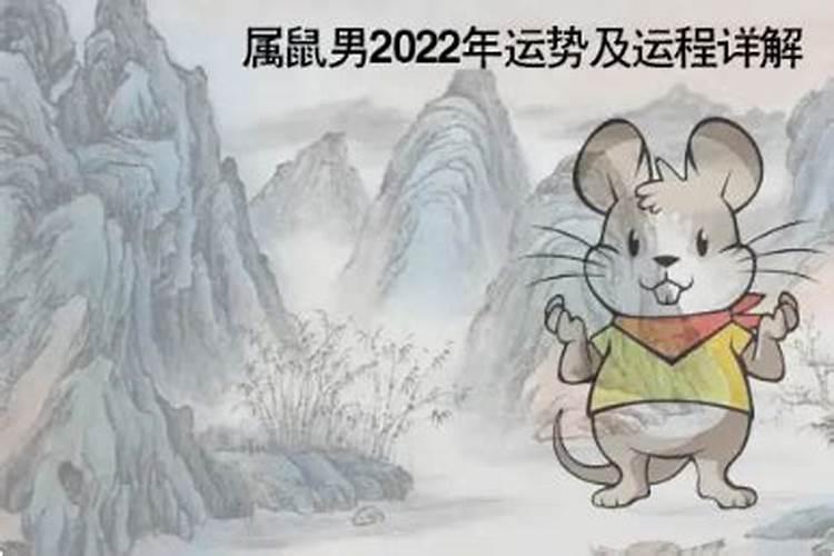 算命免费2021年运程鼠