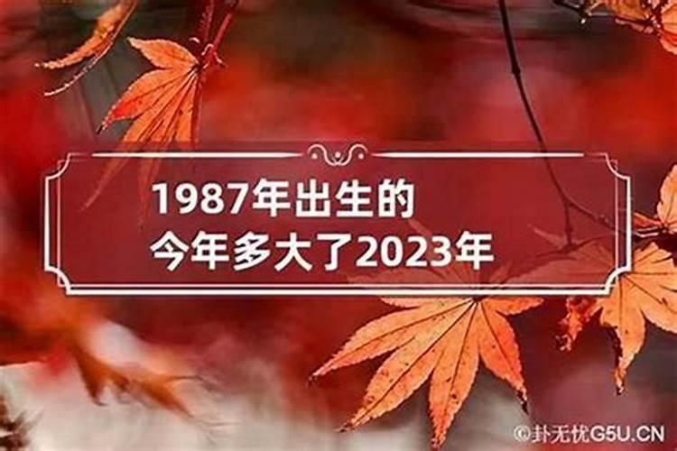 1977年生人属于什么命格