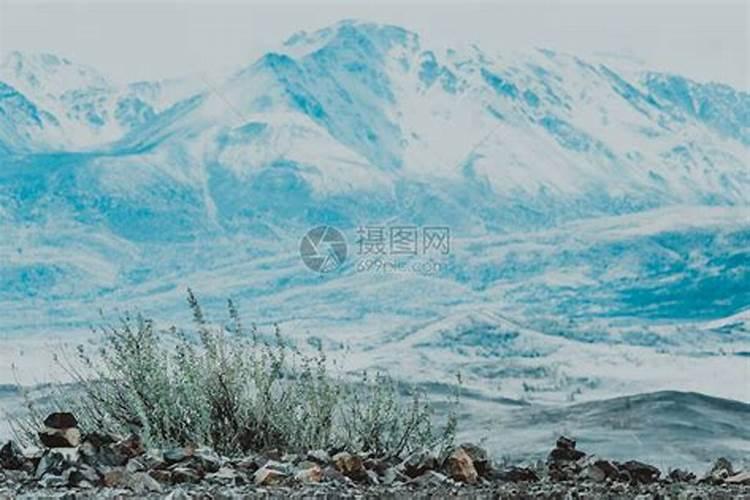 梦见美丽的山峰