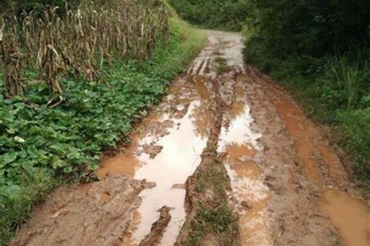 梦见道路难走有水坑