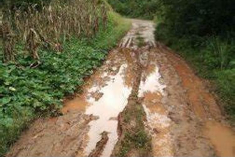 梦见道路难走有水坑