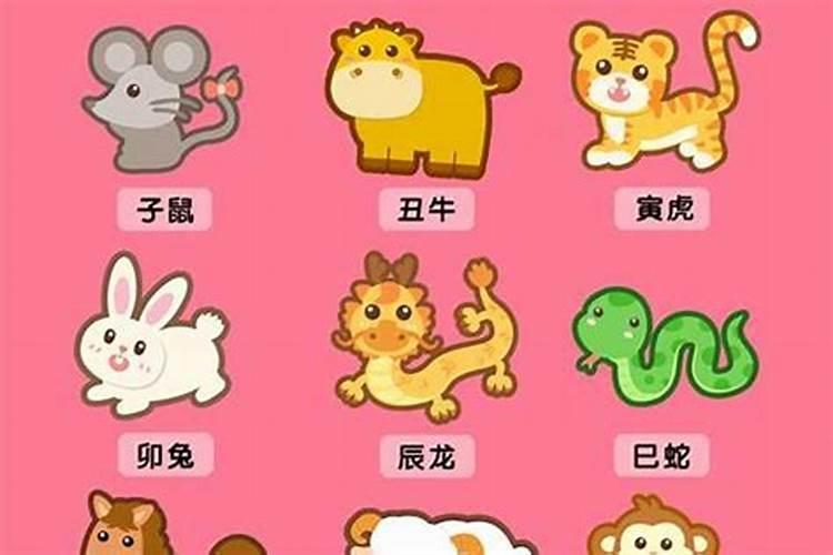 猪和属虎相合不合