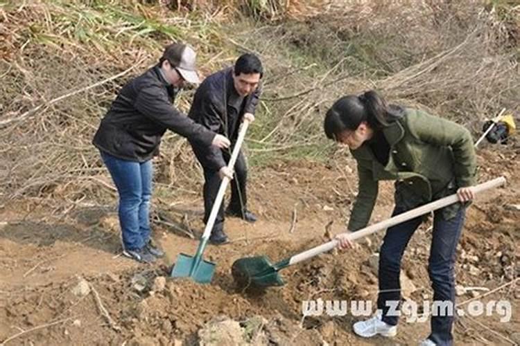 梦见挖到白土