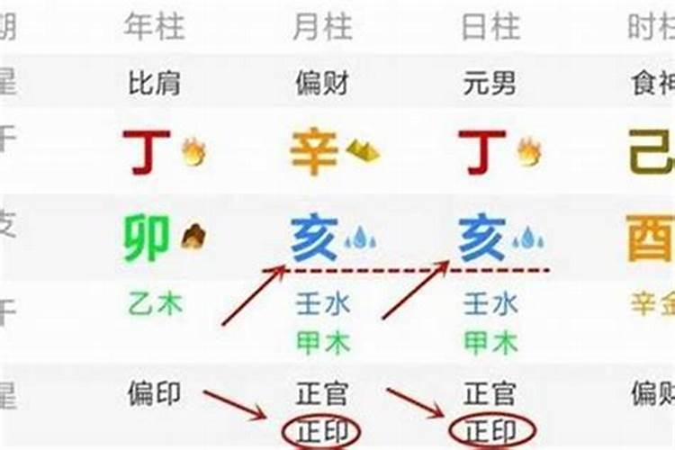 八字丁巳乙巳乙卯己巳男命