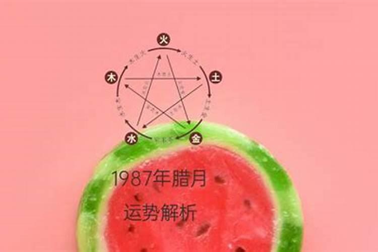 狗年2024年运程怎么样