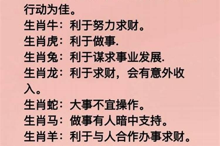 己卯日财运怎么样