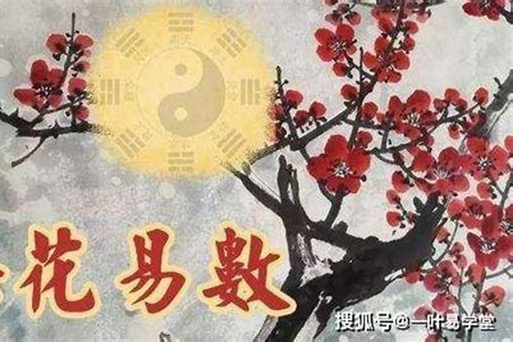 狗年今年运势如何