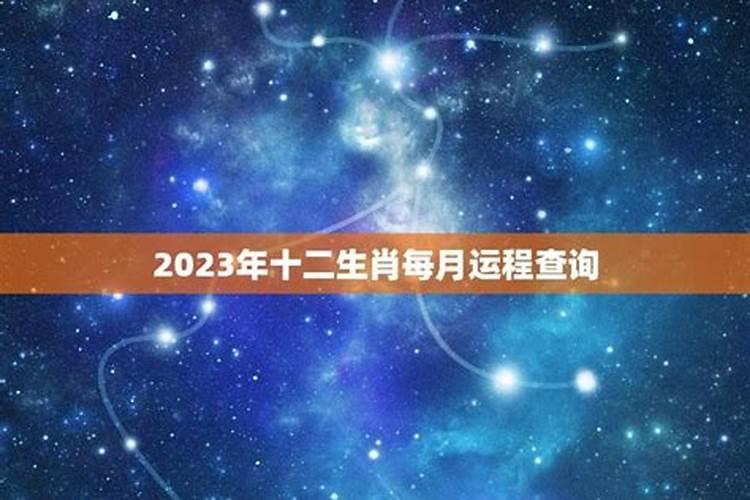 十二生肖运势2023年每月运程