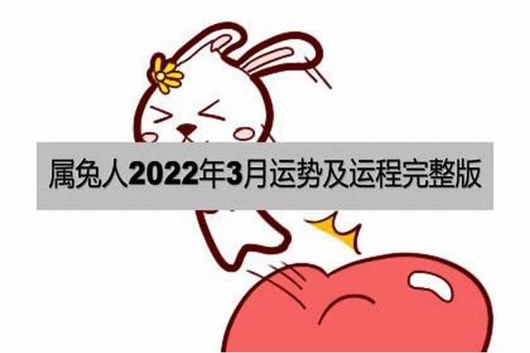 属兔人2022感情