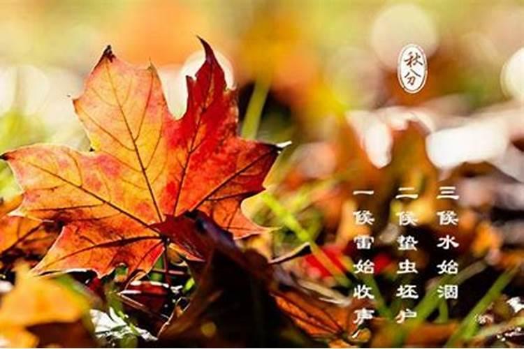 秋分节气忌讳吃什么