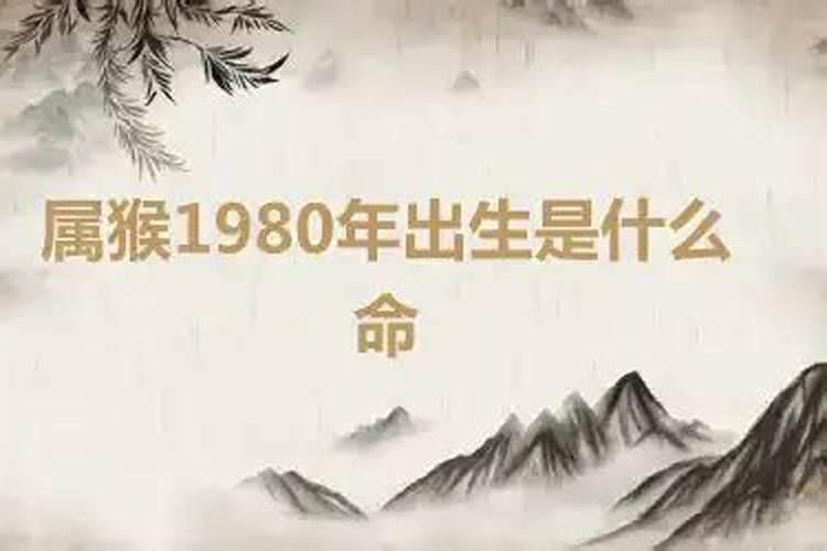 属猴1980年是什么命人