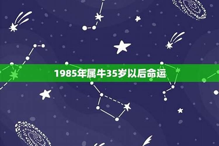 为什么85属牛35岁有一劫怎么破