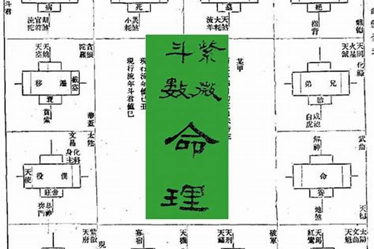 紫微斗数命理研究