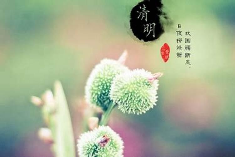 清明节前几天可以修坟吗