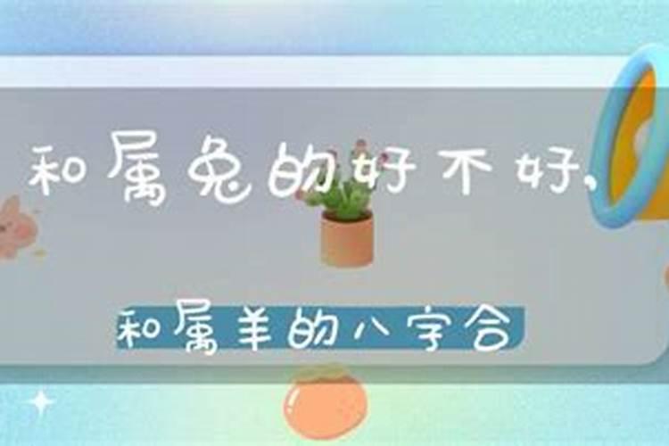 属兔和属羊的八字合不合