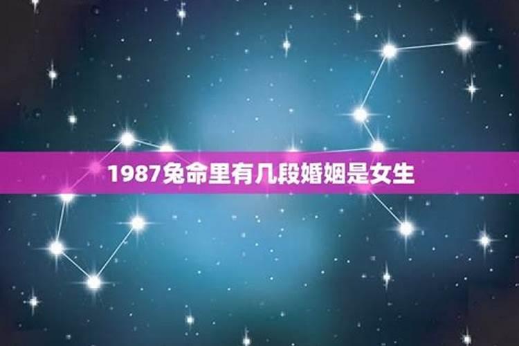 属狗的在2024年运势