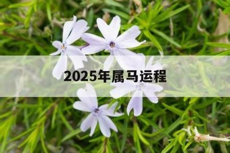 属马2021年农历九月运势及运程详解