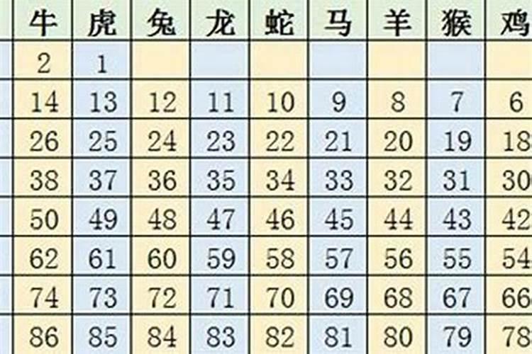 2023年12生肖的号码