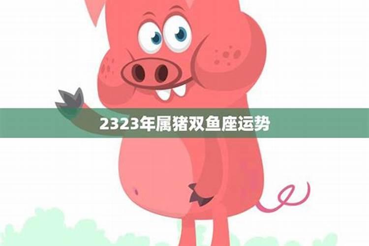 属猪男2023年运势和财运怎么样啊