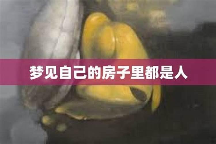 梦见四四方方的房子