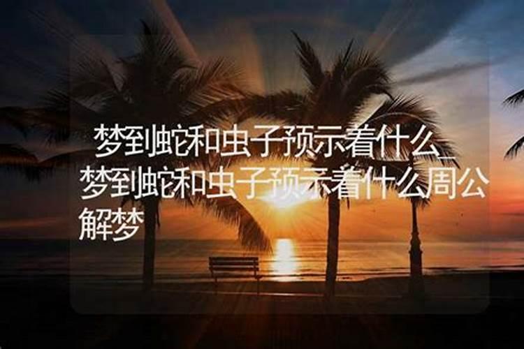 梦到蛇和小蛇预示着什么