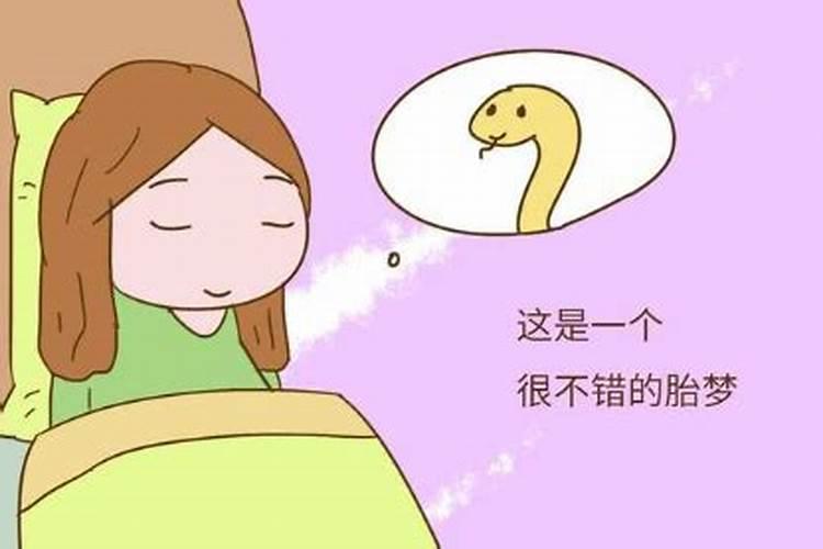 女人梦见蛇是不是怀孕