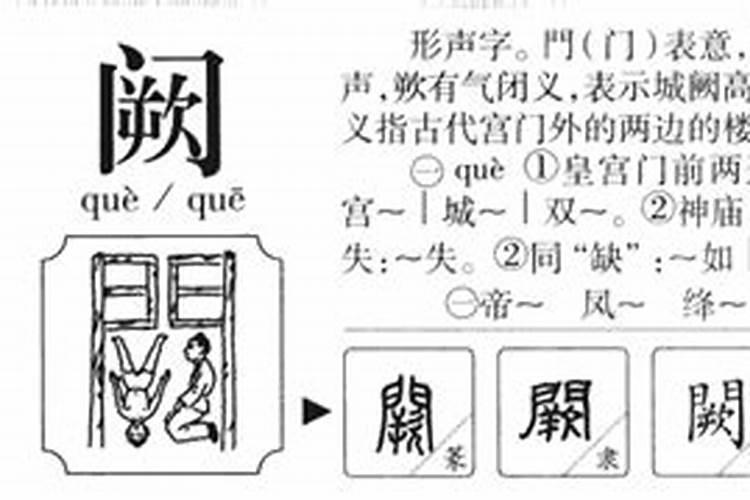 阙字是什么生肖属性