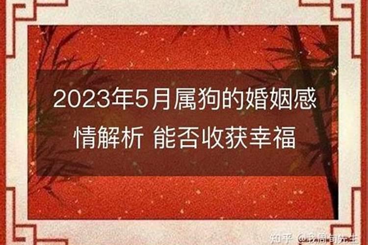 2023年5月属鸡运势如何