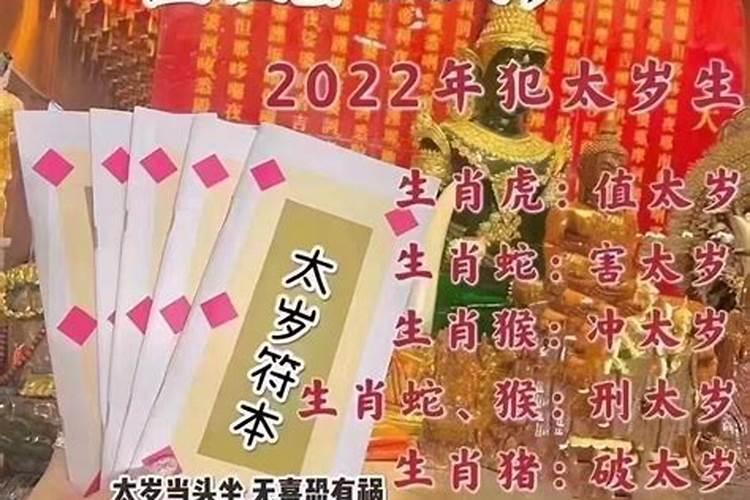 生肖属虎2024年的运势