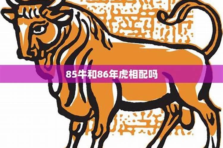 金牛座2024年9月份运势