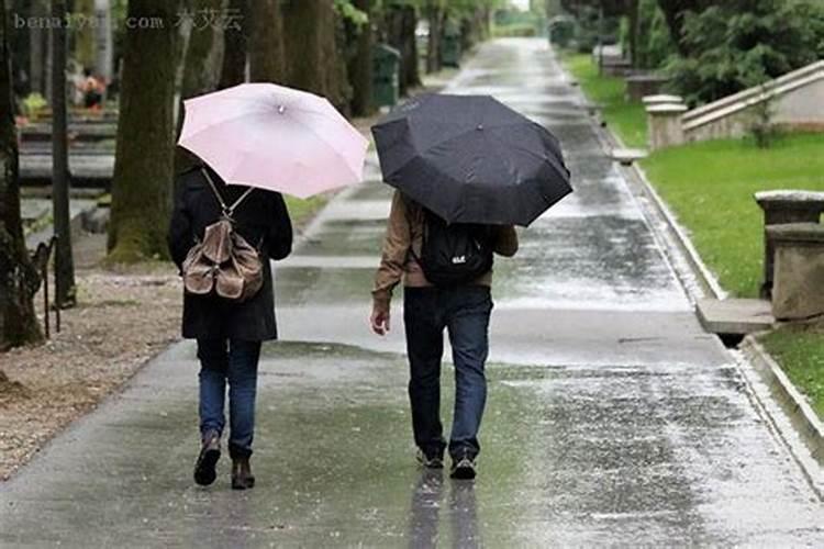 梦见下雨刮风伞坏了什么意思