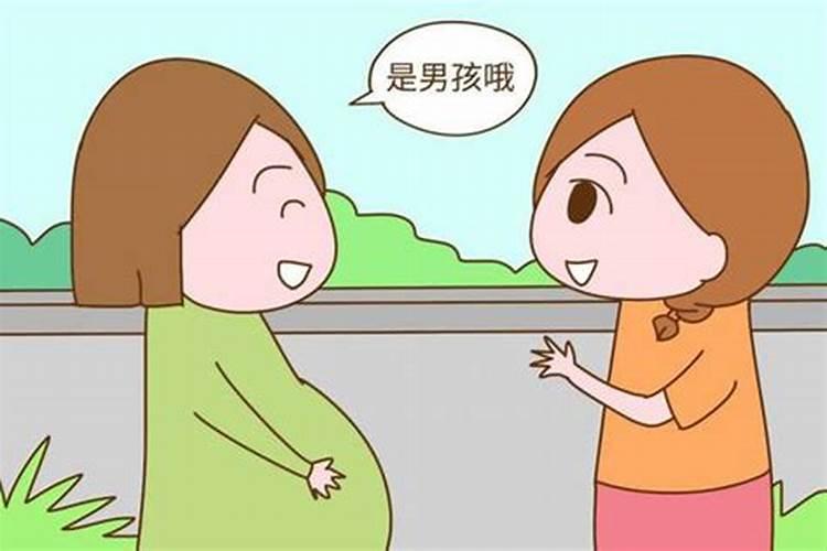 女的本命年生男孩还是女孩多呢为什么