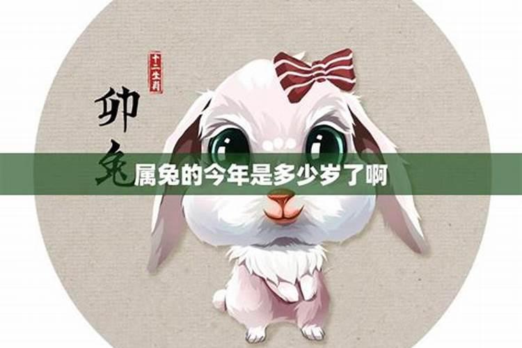 属兔今年5月份运势如何