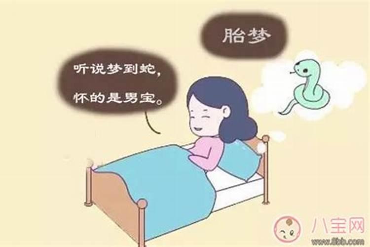 孕期做梦梦到青蛇是男孩还是女孩