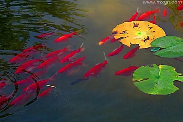 财神节什么时间烧纸