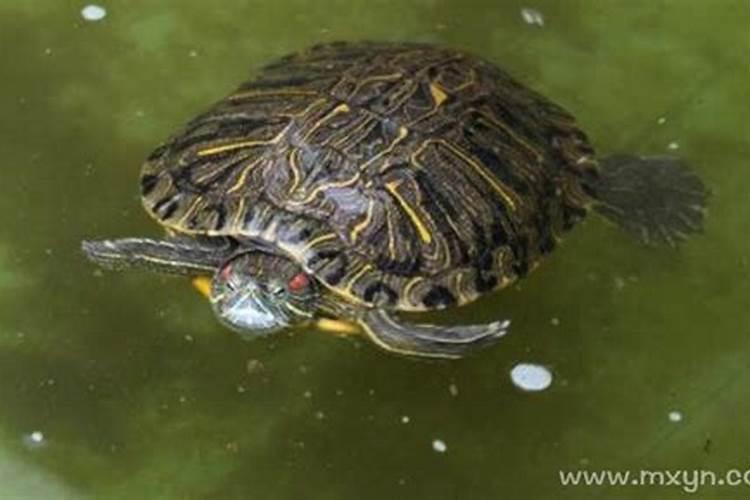 清明节农历时间是多少日