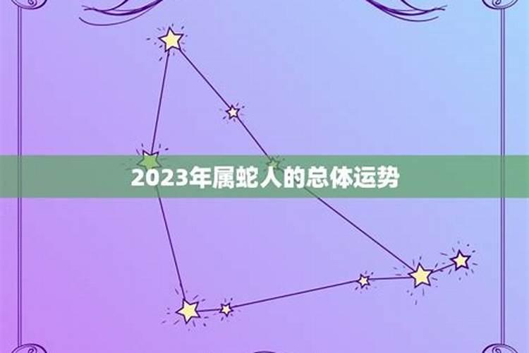 属蛇2021年2月22日运势